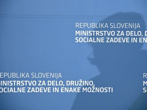 Nasprotovanja združevanju ministrstev za delo in gospodarstvo Kot da bi dali volku čuvati jagnje Foto BoBo